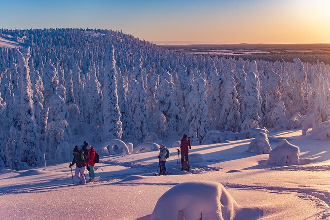 Full-Day Snowshoeing Adventure in Amethyst Mine Pyhä Luosto - Timing, weather, and booking conditions