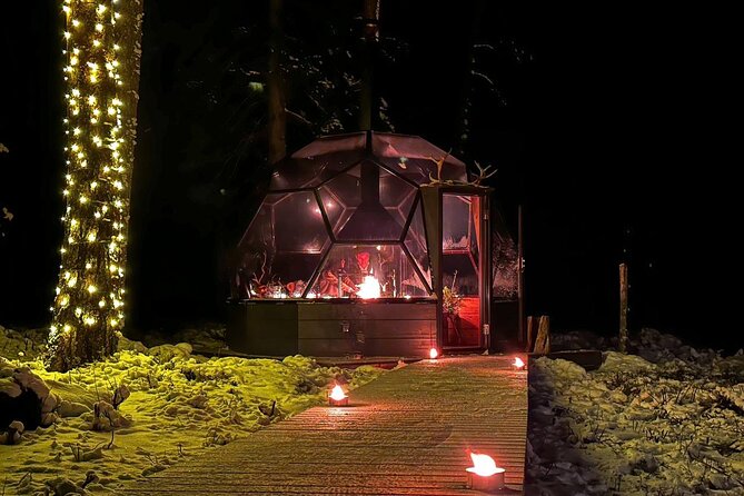Glass Igloo Campfire Dinner under Northern Lights - How the private format affects the value