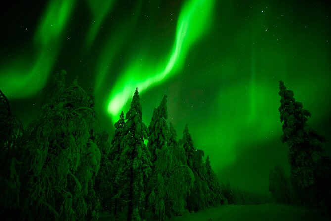 Guaranteed Northern Lights Hunting Adventure in Lapland - Starting in Rovaniemi with warm clothing