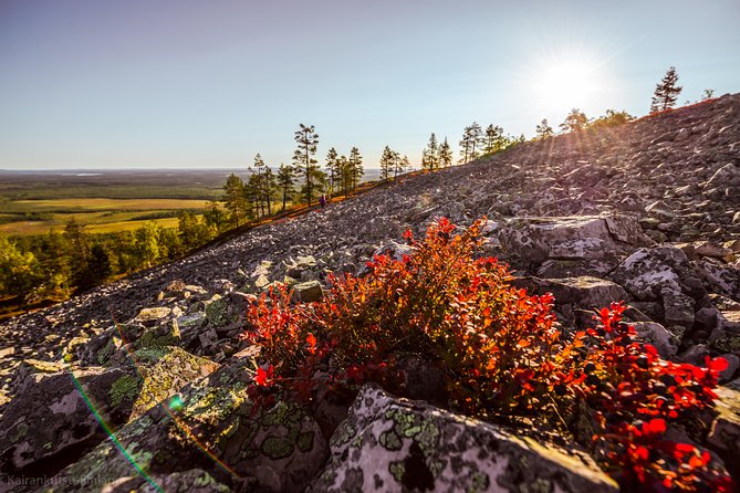 Guided easy hike in Finland deepest gorge in Pyhä-Luosto National Park - What you see between Luosto and Pyhä