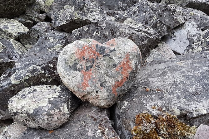 Guided easy hike in Finland deepest gorge in Pyhä-Luosto National Park - The guide-led feel and flexible planning