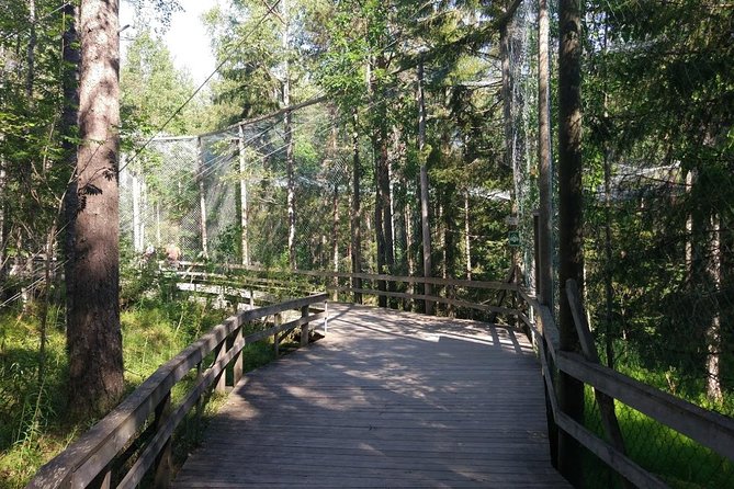 Guided Ranua Wildlife Park tour with Lunch, Small group adventure - What the $174.21 price really covers