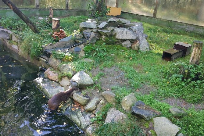 Guided Ranua Wildlife Park tour with Lunch, Small group adventure - Winter, summer, and changing animal activity