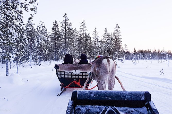 Guided reindeer farm visit and one hour sledge safari - What happens during the one-hour sledge safari