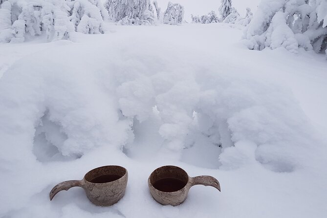 Guided reindeer farm visit and one hour sledge safari - Timing, meeting point, and cancellation