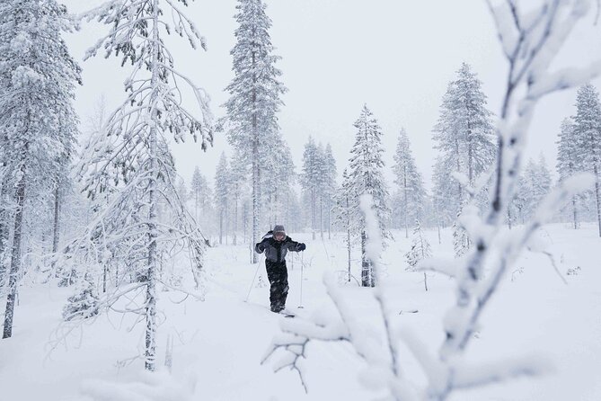 Half-Day Backcountry Skiing Tour in Levi with Photography Guide - Trading Levi’s ski slopes for Arctic forest