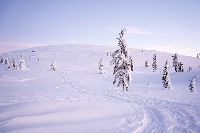 Half-Day Backcountry Skiing Tour in Levi with Photography Guide - Learning the skis without a resort lesson