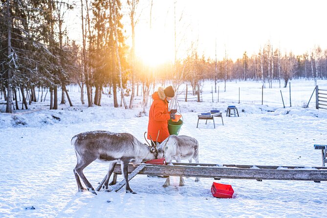 Half-Day Experience in Local reindeer farm in Lapland - Borrowing winter gear before the sleigh ride
