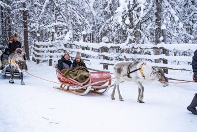 Half-Day Experience in Local reindeer farm in Lapland