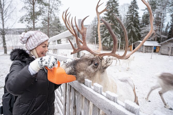 Half-Day Experience in Local reindeer farm in Lapland - Pancakes, hot drinks, and the kota hut