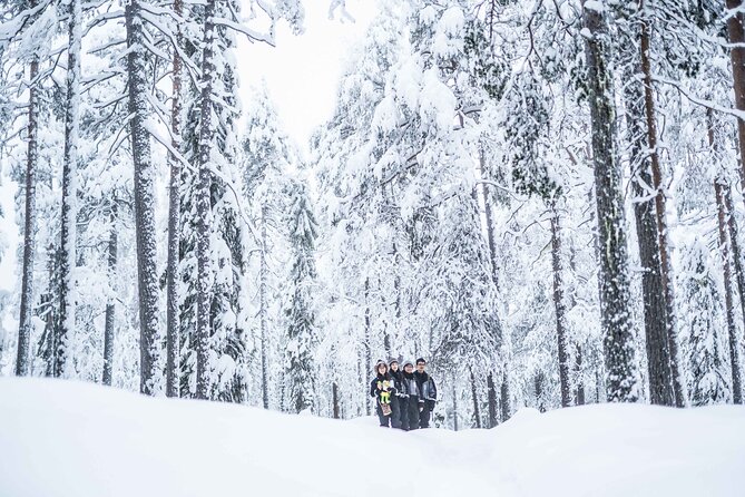Half Day Guided Tour in the Wilderness of Levi - What the walk is really like