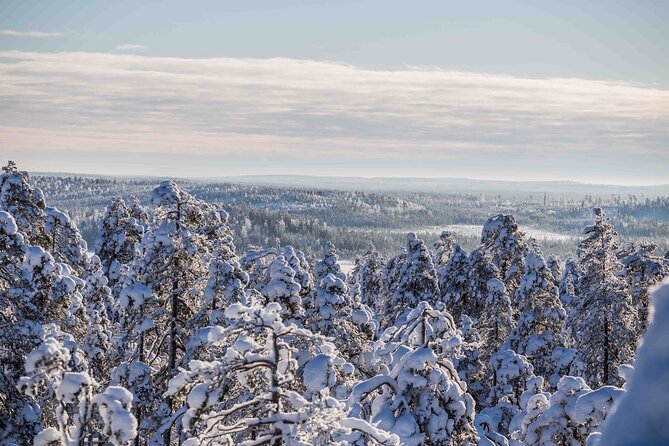 Half Day Guided Tour in the Wilderness of Levi - Guide quality can shape the whole day