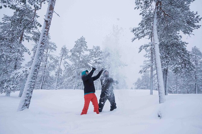 Half Day Guided Tour in the Wilderness of Levi - The best pause: fire, shelter, and hot drinks