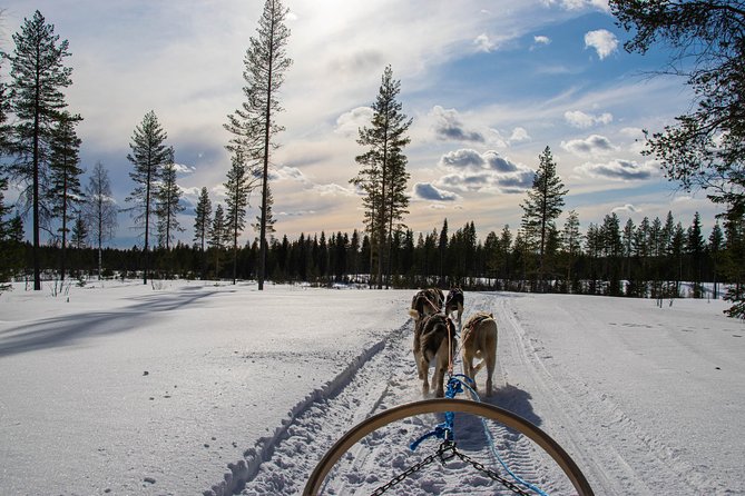 Half-Day Husky Safari and Salmon Ice Fishing Experience - Meeting the huskies before the sled ride