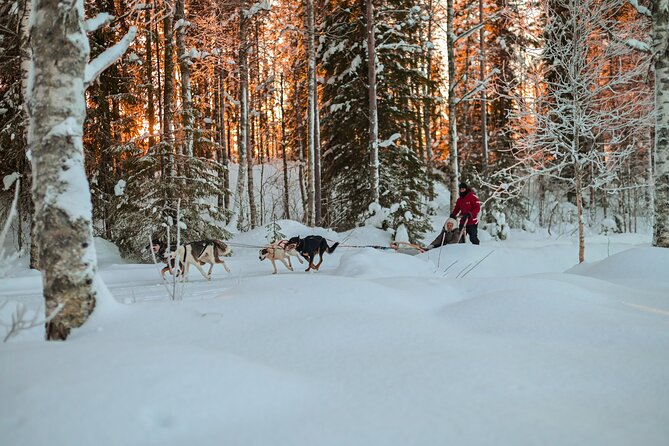 Half-Day Husky Safari and Salmon Ice Fishing Experience - Warming up in the kota