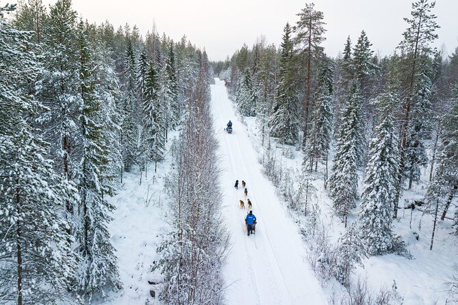 Half-Day Husky Safari and Salmon Ice Fishing Experience - What the $264.91 price includes in practical terms