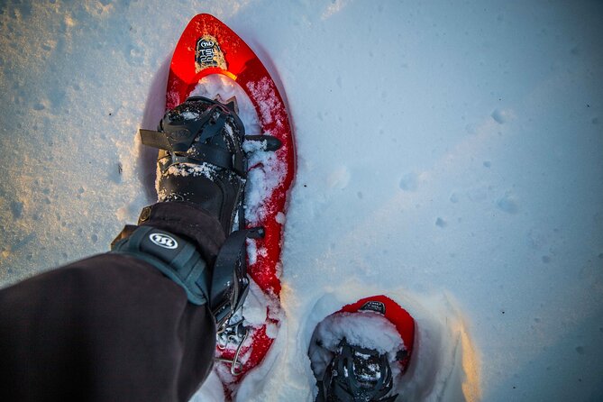 Half Day Snowshoe Hiking Adventure in Levi Lapland - The photography package adds real value
