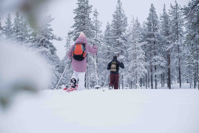 Half Day Snowshoe Hiking Adventure in Levi Lapland - How the $113.79 price works for you