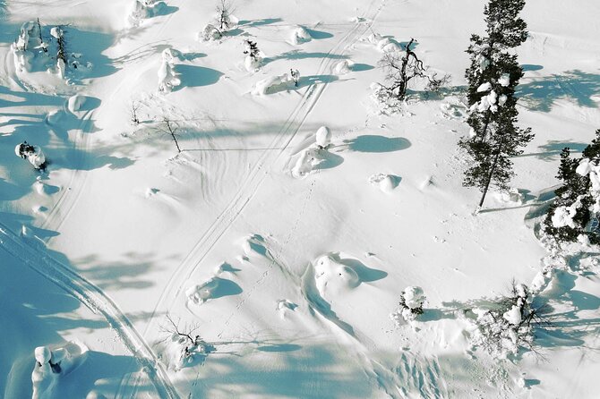 Half Day Snowshoe Hiking Adventure in Levi Lapland - Pickup, group size, and timing