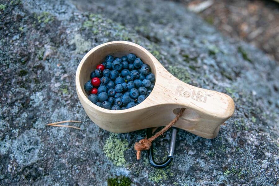 Helsinki: Nuuksio National park hiking with campfire lunch - Booking details worth knowing