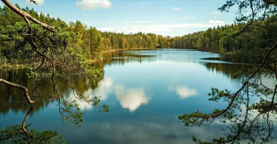Helsinki: Nuuksio National park hiking with campfire lunch - Who should book this walk?