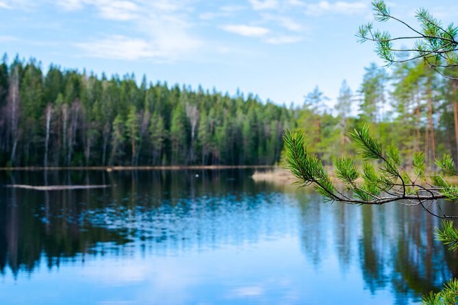 Helsinki: Nuuksio National park hiking with campfire lunch - A 7.5 km walk with changing scenery