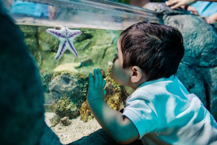 Helsinki: Sea Life Entrance Tickets - Inside Sea Life Helsinki’s 50 aquariums