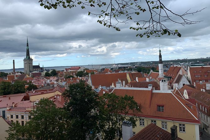 Helsinki to Tallinn Guided Tour -cruise ticket & pick up included - Alexander Nevsky Cathedral and Kohtuotsa Viewpoint