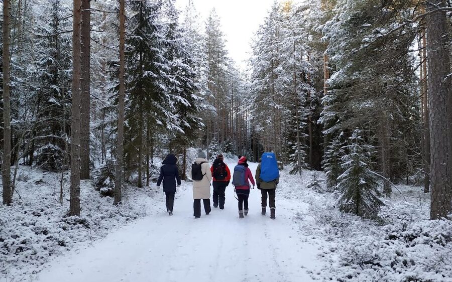 Helsinki: Winter Wonderland Liesjärvi National Park Hike - Who should book this day?