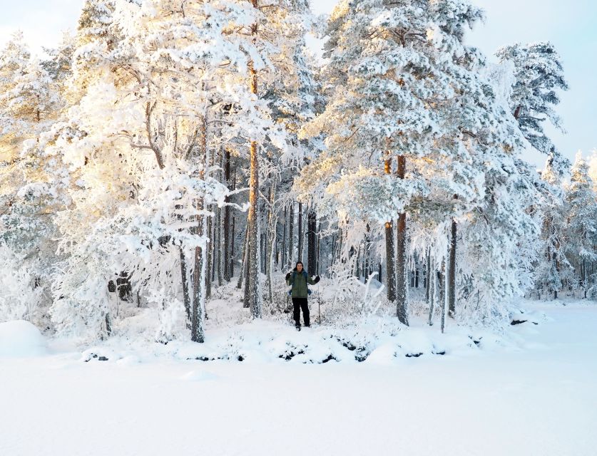 Helsinki: Winter Wonderland Liesjärvi National Park Hike - How difficult is this winter hike?