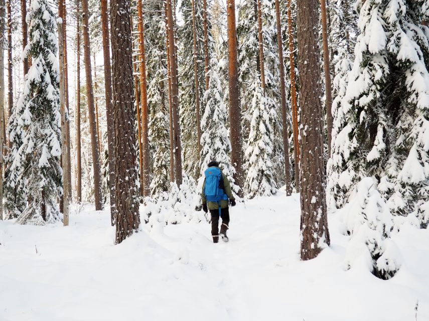 Helsinki: Winter Wonderland Liesjärvi National Park Hike - Is $182 a fair price?