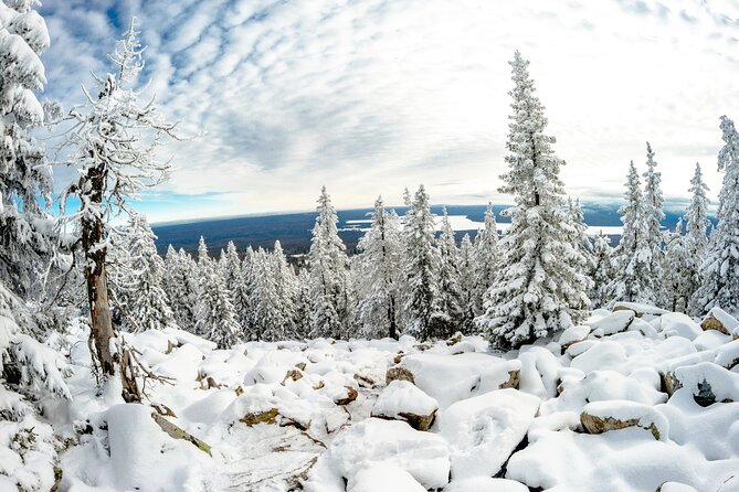 Hike to Frozen Waterfalls of Korouoma Including BBQ Lunch from Rovaniemi - The barbecue makes the cold feel worthwhile