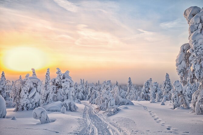 Hike to Frozen Waterfalls of Korouoma Including BBQ Lunch from Rovaniemi - Is the $108.07 price good value?