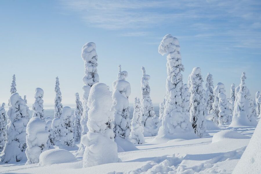 Hiking in Riisitunturi National Park with Photographer - Photography That Adds Real Value