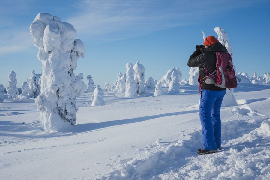 Hiking in Riisitunturi National Park with Photographer - What to Wear and How to Prepare