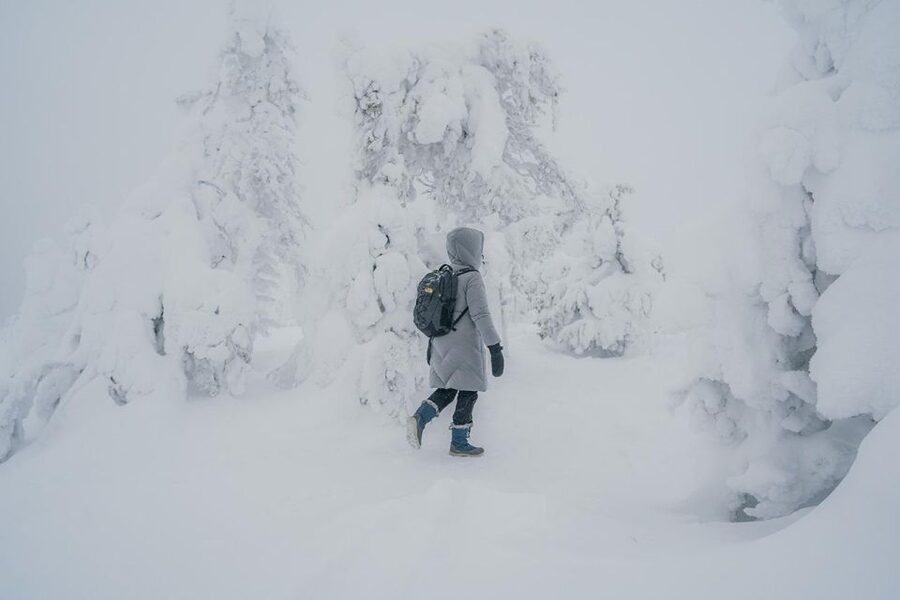Hiking in Riisitunturi National Park with Photographer - A 5km Walk Through Snow-Buried Trees