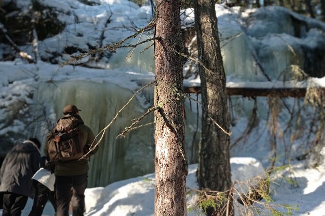 Hiking tour in Nuuksio National Park with meal and snacks - Glögi, berry tea, biscuits, and a proper forest lunch