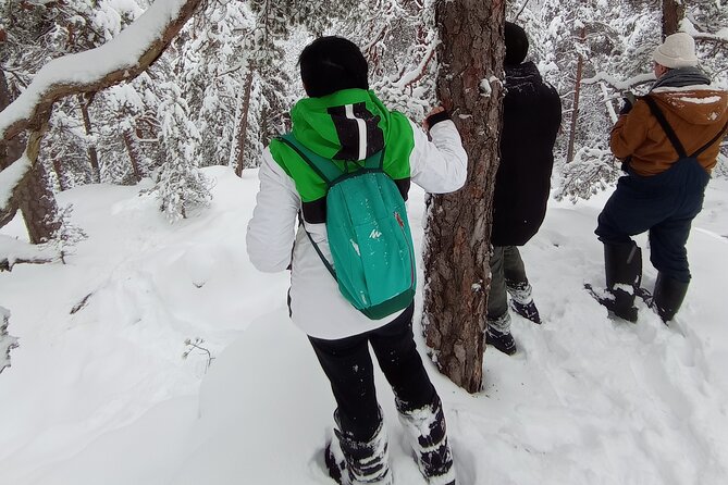 Hiking tour in Nuuksio National Park with meal and snacks - How difficult is the hike?