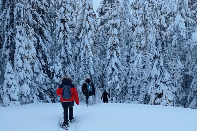 Hiking tour in Nuuksio National Park with meal and snacks - Learning Finnish nature without a classroom