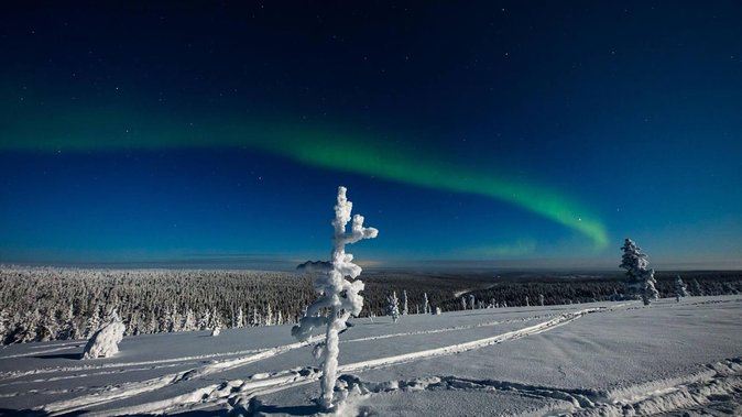 Hunting Northern Lights with Husky - The campfire stop and hot blueberry juice