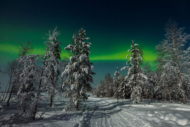 Hunting Northern Lights with Husky - Searching for the Northern Lights