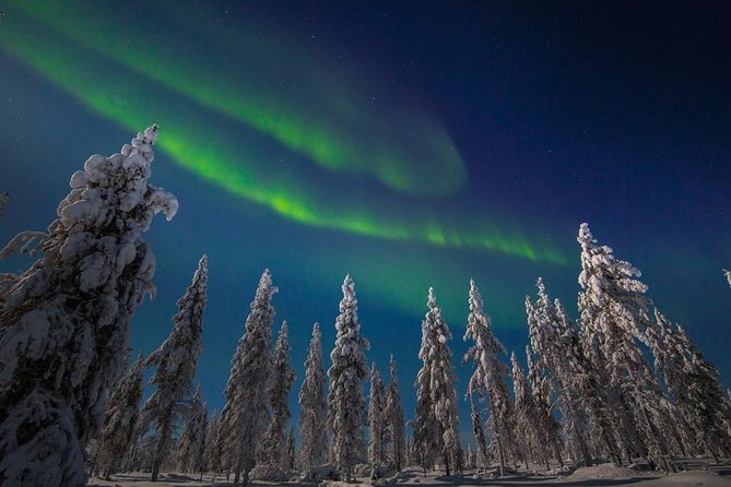 Hunting Northern Lights with Husky - What it feels like on the sled