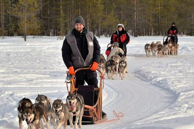 Husky Safari from Levi 2 KM or 5 KM with Husky Sledge Ride - Warm drinks, cookies, and the farm setting
