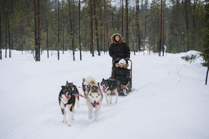 Husky Safari from Rovaniemi Including a Husky Sled Ride - Meeting the huskies at the farm