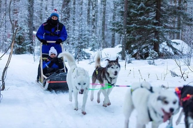 Husky safari - What the dogs add to the outing