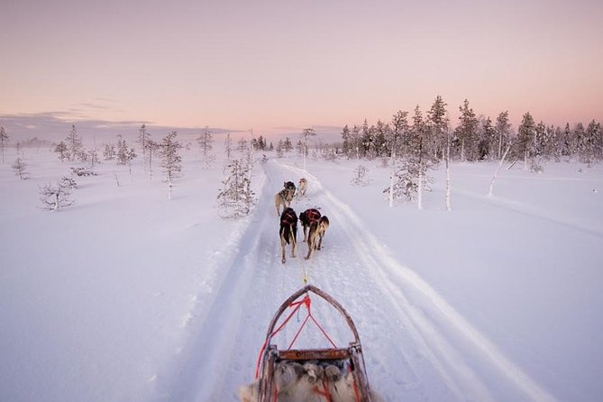 Ice Fishing and Husky - Two classic Lapland activities in one half-day