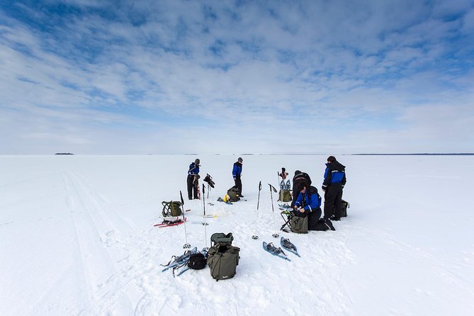 Ice Fishing and Husky - Should you book the husky and ice-fishing tour?