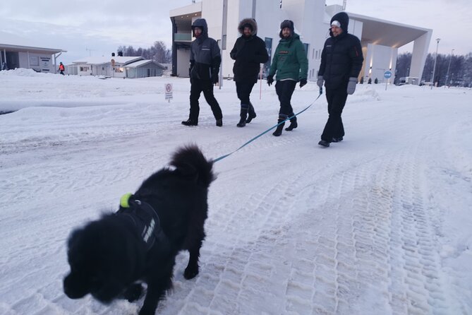Icetrek to Old Kemi - Guides who add meaning to the walk
