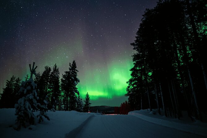Ivalo: Aurora Hunting with Reindeer - What the reindeer teach you about Lapland life