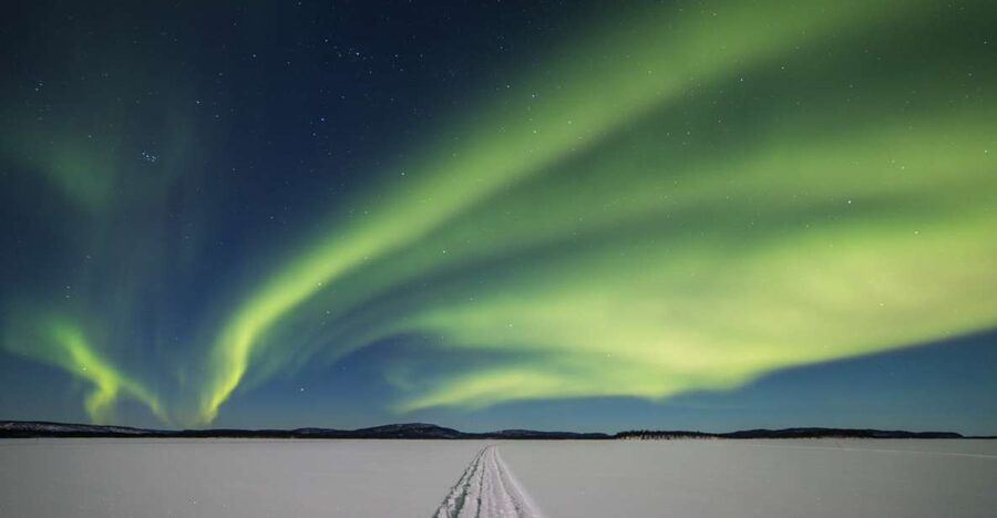 Ivalo: Lake Inari Northern Lights Tour w/ Reindeer & Dinner - Feeding the reindeer at the island